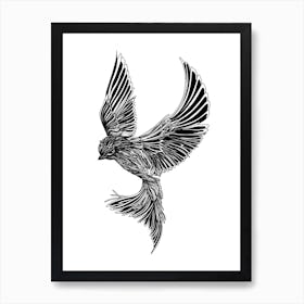 Swallow Bird Art Print