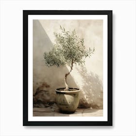 Olive Tree In Pot 1 Póster