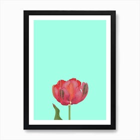 Lone Rose, Botanical, Plant, Neutral, Kitchen, Bathroom, Bedroom, Art, Wall Print Art Print