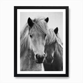Horses - Black & White 7 Art Print