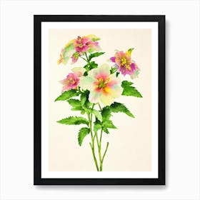 Delphinium Vintage Flowers Flower Art Print