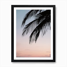 Palm Tree Silhouette Art Print