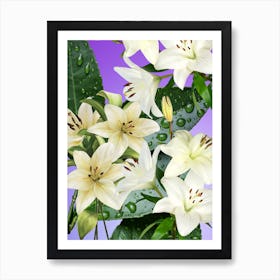 White Lilies Art Print