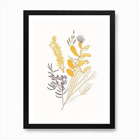 Fenugreek Spices And Herbs Minimal Line Drawing 1 Art Print