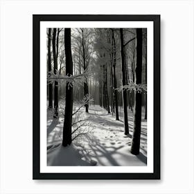 Winter Forest 4 Art Print