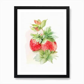 Day Neutral Strawberries, Plant, Watercolour Art Print