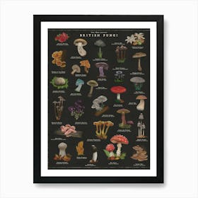 Fungi Art Noir Magical Mushroom Print  Art Print