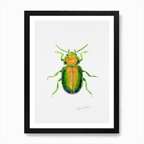 Chrysolina graminis or tansy beetle, watercolor artwork Art Print