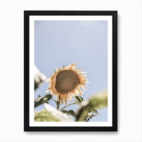 Sun Bloom Art Print