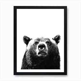 Black and White Bear  Art Print