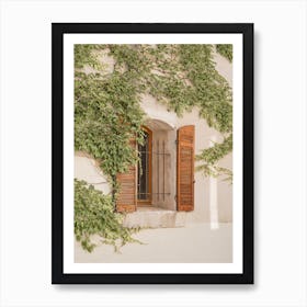 French Window Shutters Art Print