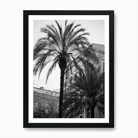 Buildings behind the Palms, Valencia | Black and White Photography 1 Art Print