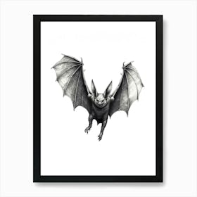 Common Pipistrelle Bat Illustration 2 Art Print