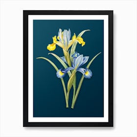 Vintage Spanish Iris Botanical Art on Teal Blue n.0722 Art Print