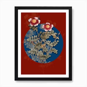 Vintage Botanical Variegated Burnet Rose on Circle Blue on Red n.0132 Art Print