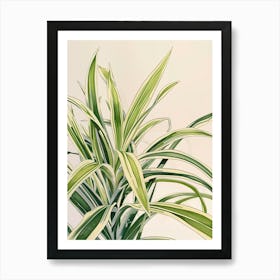 Spider Plant Botanical Line Illustration 1 Art Print