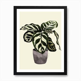 Calathea Plant Art Print