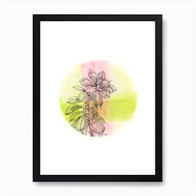 Succulent On Pink And Green Art Print