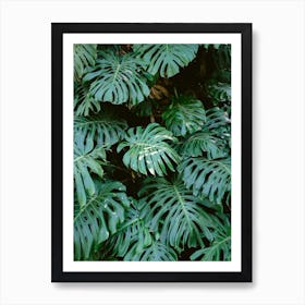 Monstera Wall In Lisbon Art Print