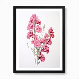 Snapdragons Flower Vintage Botanical 1 Art Print