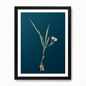 Vintage Gladiolus Inclinatus Botanical Art on Teal Blue n.0703 Art Print