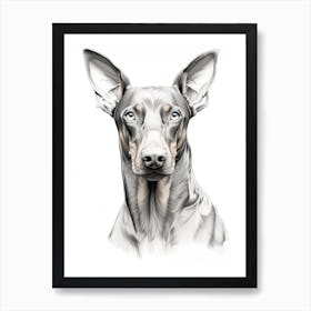 Doberman Pinscher Dog, Line Drawing 1 Art Print