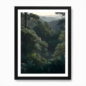 Valley Boasting Eucalyptus Trees And Fern Colonies Poster