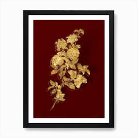 Vintage Germander Meadowsweet Botanical in Gold on Red n.0521 Art Print