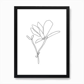 Japanese Magnolia Lineart Art Print