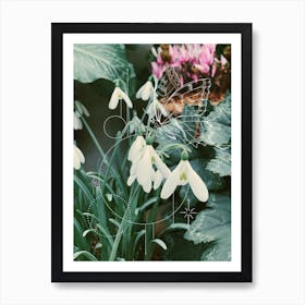 Snowdrops Art Print