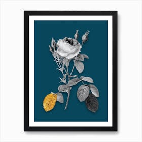 Vintage Double Moss Rose Black and White Gold Leaf Floral Art on Teal Blue n.0903 Art Print