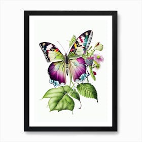 Butterfly On Plant Decoupage 1 Art Print