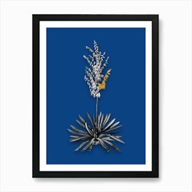 Vintage Adams Needle Black and White Gold Leaf Floral Art on Midnight Blue n.0437 Art Print