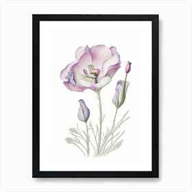 Eustoma Floral Quentin Blake Inspired Illustration 3 Flower Art Print