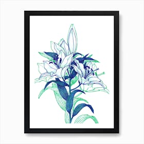 Lilies With Shadow Art Print