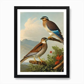 Eurasian Sparrowhawk Haeckel Style Vintage Illustration Bird Art Print