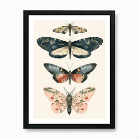 Colourful Insect Illustration Butterfly 11 Art Print
