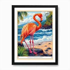 Greater Flamingo Galapagos Islands Ecuador Tropical Illustration 5 Poster Art Print