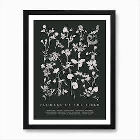 Flowers Of The Field, flower silhouettes. Art Print