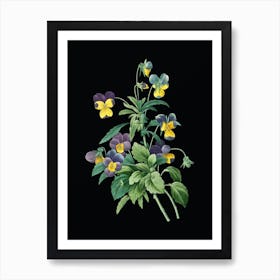 Vintage Johnny Jump Up Botanical Illustration on Solid Black n.0812 Art Print