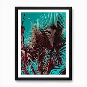 Palm Trip Ii Art Print