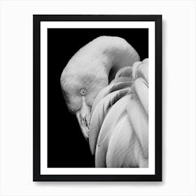 Flamingos Black and White Line Art Art Print