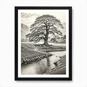 highly detailed pencil sketch of oak tree next to stream, mountain background 6 Art Print