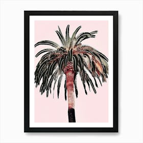 Palm Tree Canvas Print Art Print