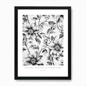 Columbine B&W Vintage Botanical Poster Art Print