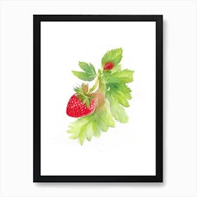 Wild Strawberry Wildflower Watercolour Art Print