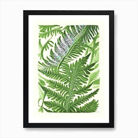 Pteris Fern 1 Vintage Botanical Poster Art Print