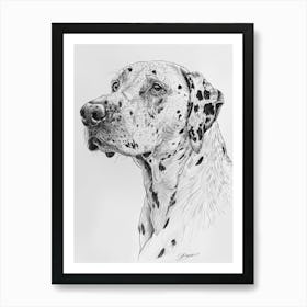 Dalmation Line Sketch 1 Art Print