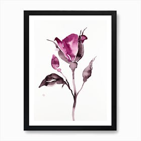 Rose Study 64 Art Print