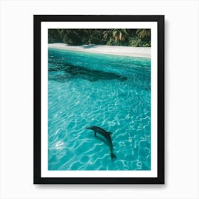 Dolphin In The Ocean Art Print